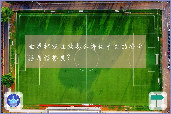 世界杯投注站怎么评估平台的安全性与信誉度？