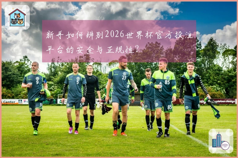 新手如何辨别2026世界杯官方投注平台的安全与正规性？