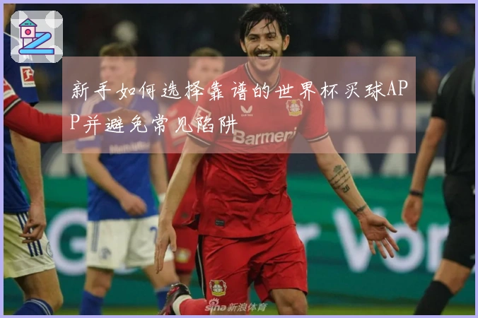 新手如何选择靠谱的世界杯买球APP并避免常见陷阱