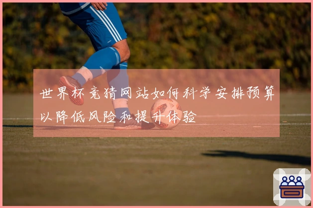 世界杯竞猜网站如何科学安排预算以降低风险和提升体验