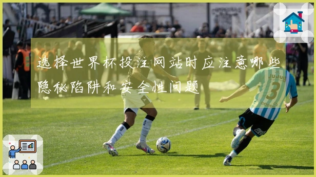 选择世界杯投注网站时应注意哪些隐秘陷阱和安全性问题