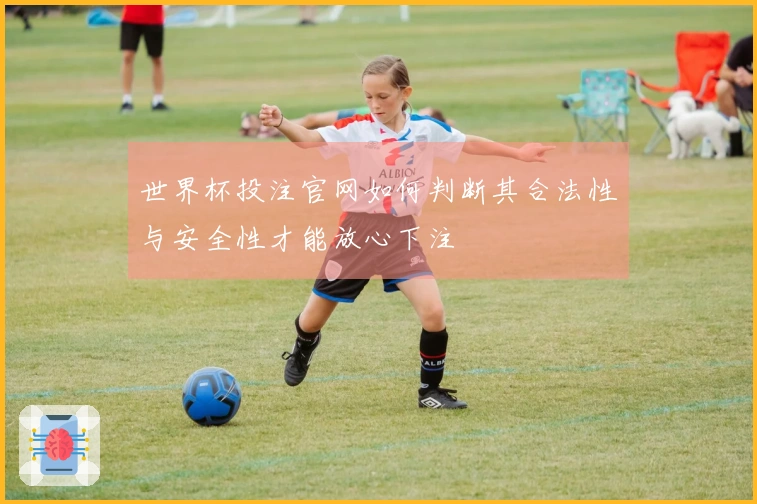 世界杯投注官网如何判断其合法性与安全性才能放心下注