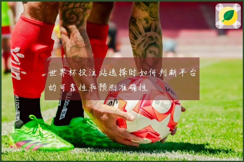 世界杯投注站选择时如何判断平台的可靠性和预测准确性