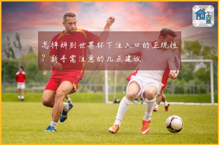 怎样辨别世界杯下注入口的正规性？新手需注意的几点建议