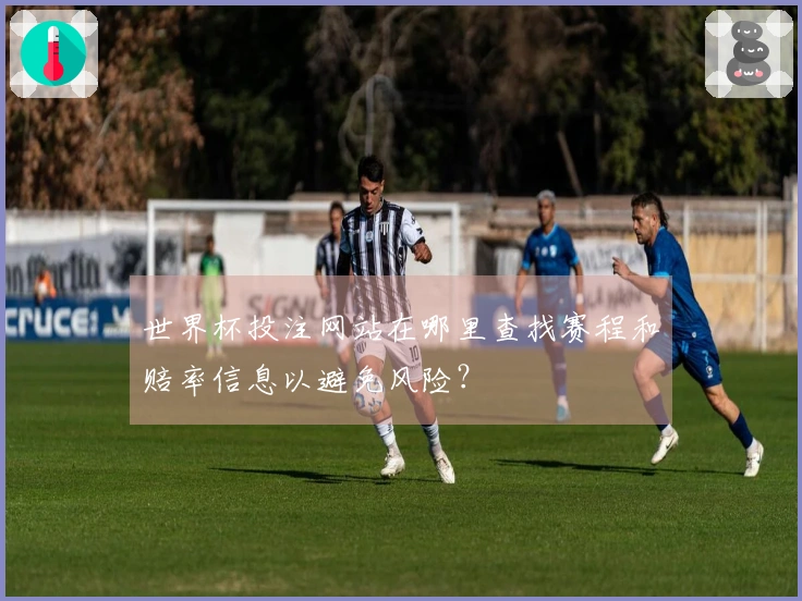 世界杯投注网站在哪里查找赛程和赔率信息以避免风险？