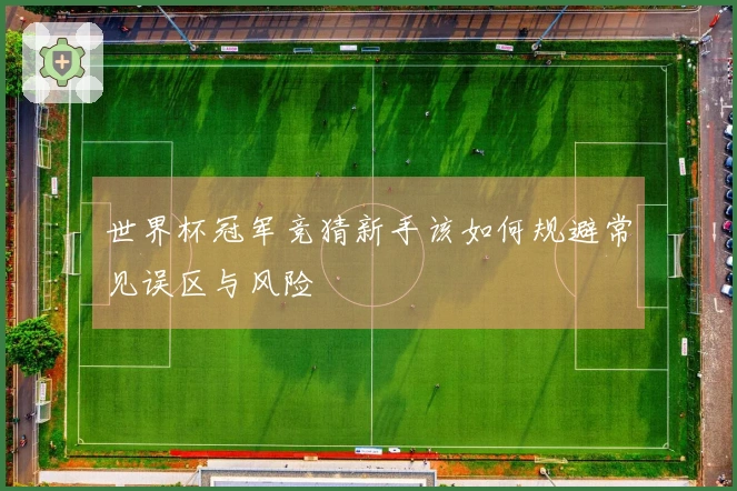世界杯冠军竞猜新手该如何规避常见误区与风险
