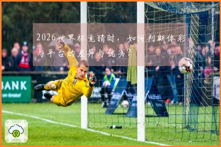 2026世界杯竞猜时，如何判断体彩与平台的差异与优劣？