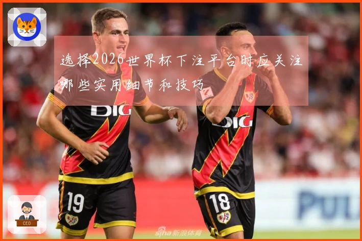 选择2026世界杯下注平台时应关注哪些实用细节和技巧