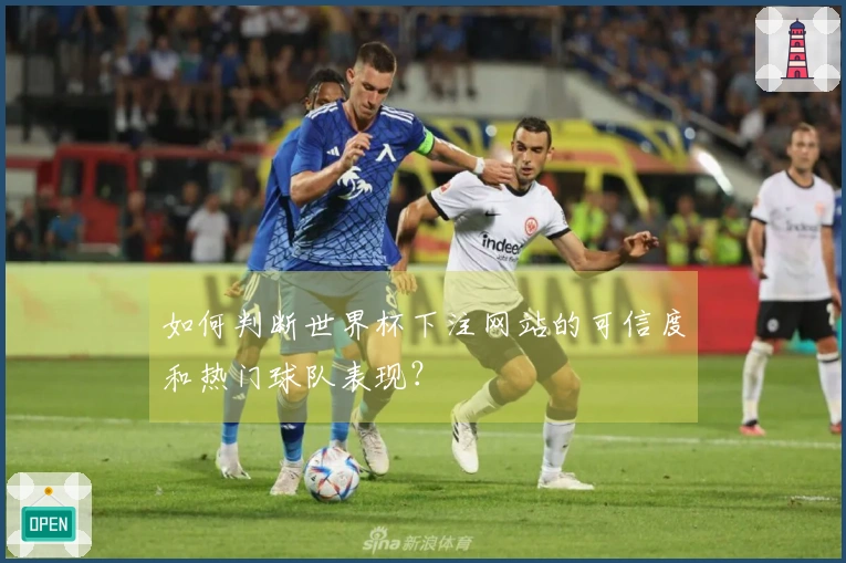 如何判断世界杯下注网站的可信度和热门球队表现？