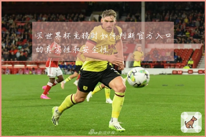 买世界杯竞猜时如何判断官方入口的真实性和安全性
