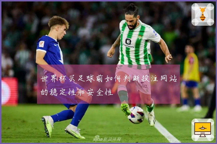 世界杯买足球前如何判断投注网站的稳定性和安全性