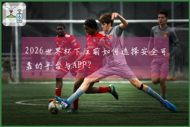 2026世界杯下注前如何选择安全可靠的平台与APP？