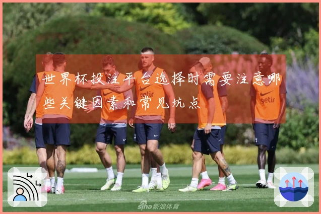 世界杯投注平台选择时需要注意哪些关键因素和常见坑点