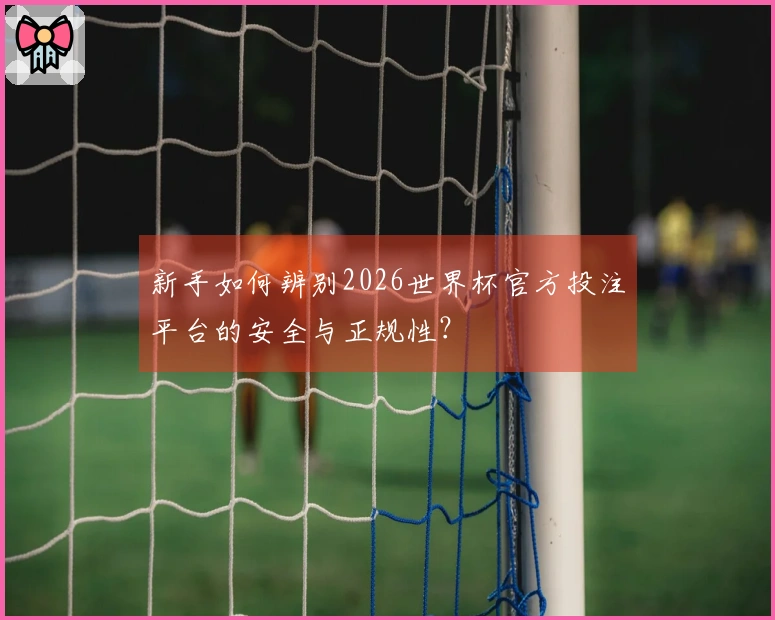 新手如何辨别2026世界杯官方投注平台的安全与正规性？