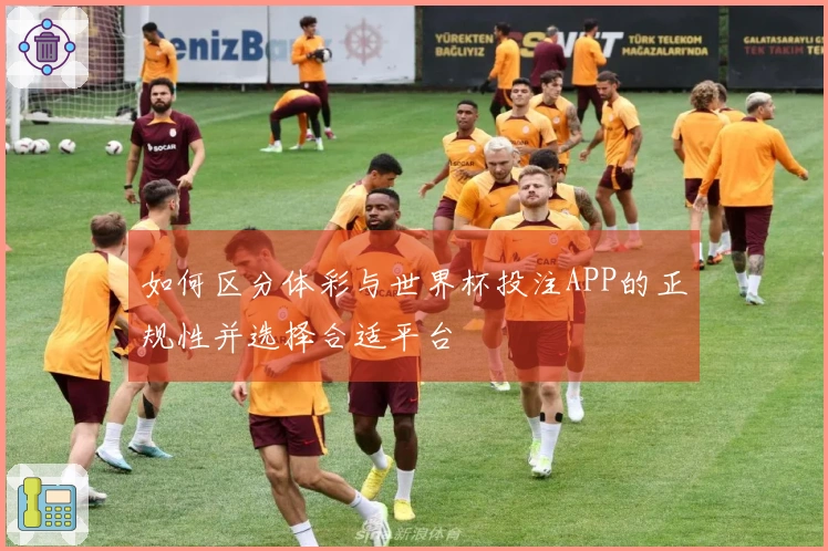 如何区分体彩与世界杯投注APP的正规性并选择合适平台