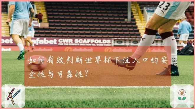 如何有效判断世界杯下注入口的安全性与可靠性？