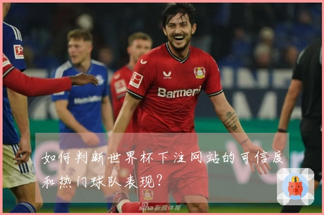 如何判断世界杯下注网站的可信度和热门球队表现？