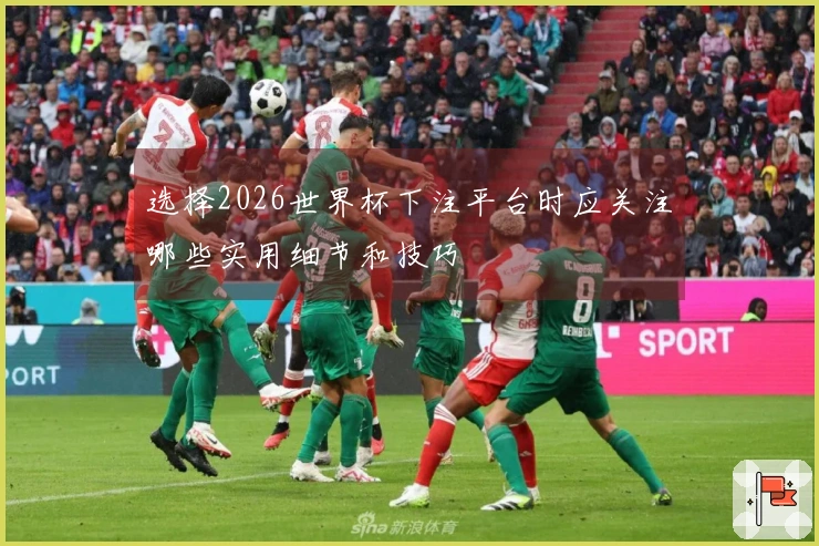选择2026世界杯下注平台时应关注哪些实用细节和技巧