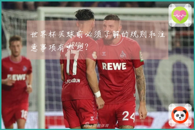世界杯买球前必须了解的规则和注意事项有哪些？