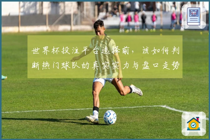 世界杯投注平台选择前，该如何判断热门球队的真实实力与盘口走势