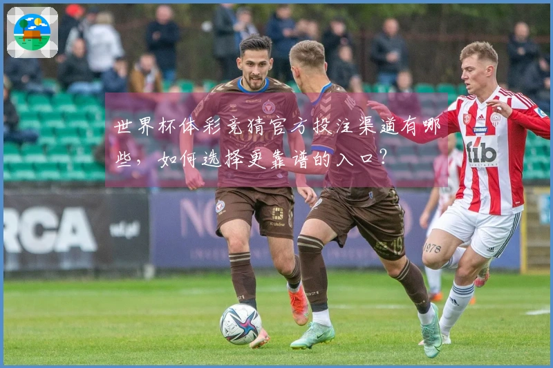 世界杯体彩竞猜官方投注渠道有哪些，如何选择更靠谱的入口？